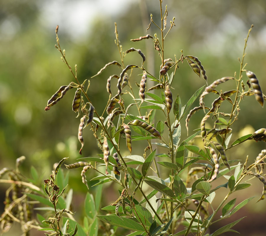 Blog Detail Images