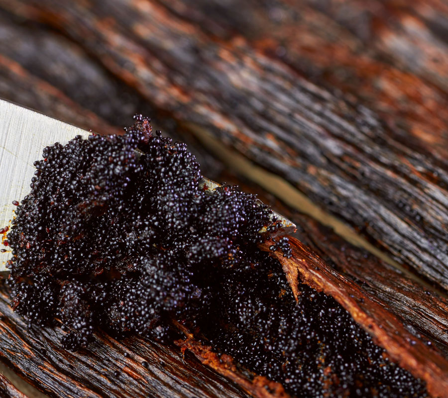 Blog Detail Images