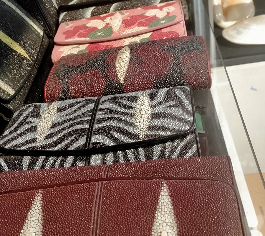 Blog Detail Images
