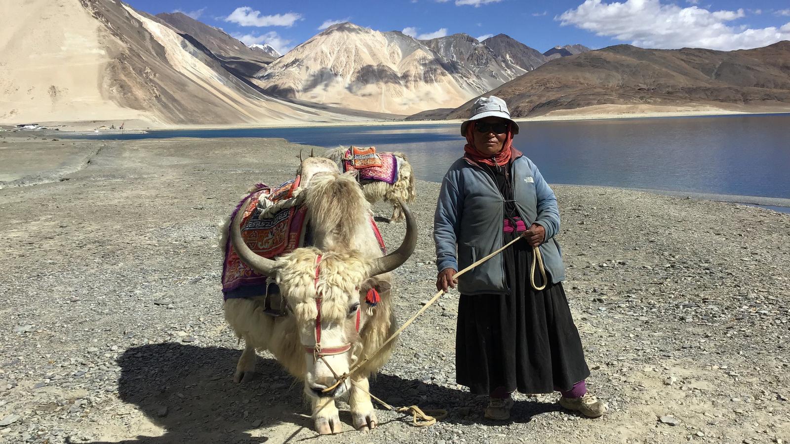 Yak Approved By FSSAI Benefits Of Yak Milk Yak Meat Dishes