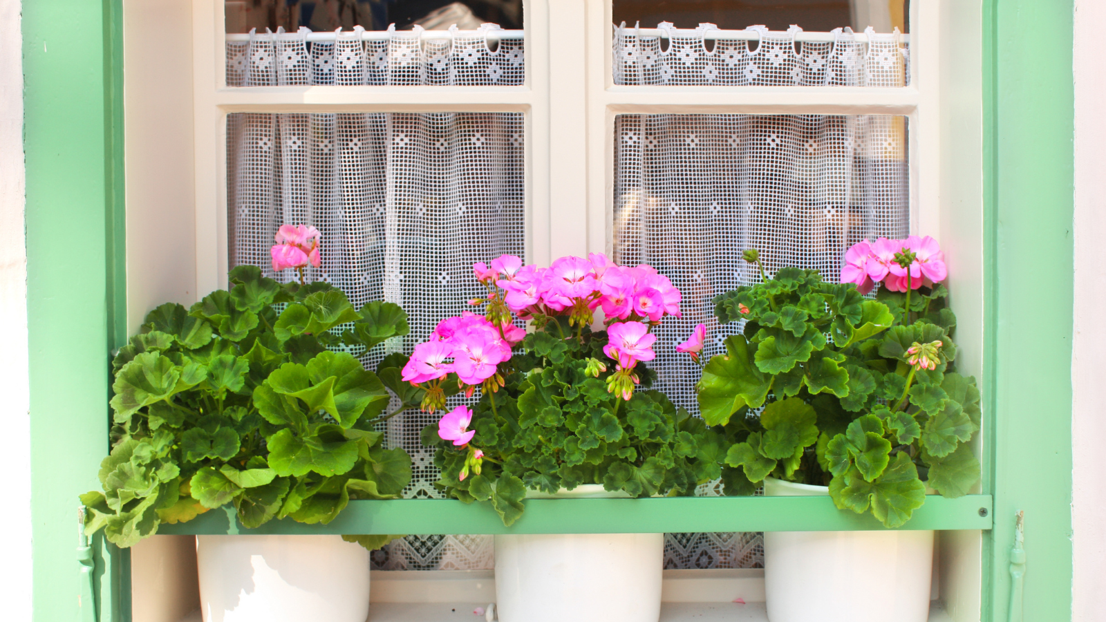 window decor