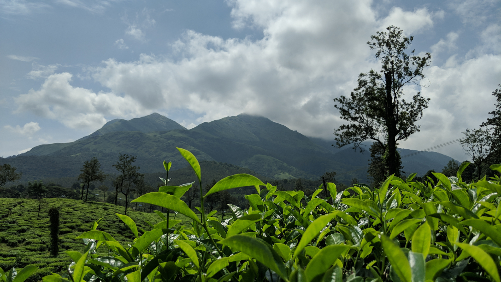 Chembra Peak
