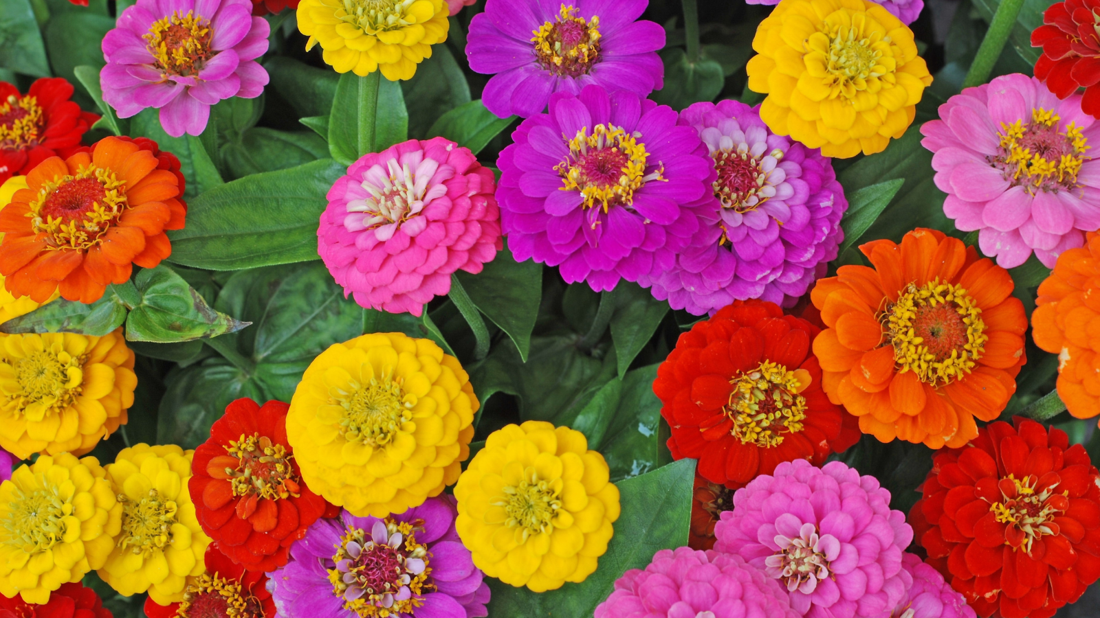 Blog Detail Images