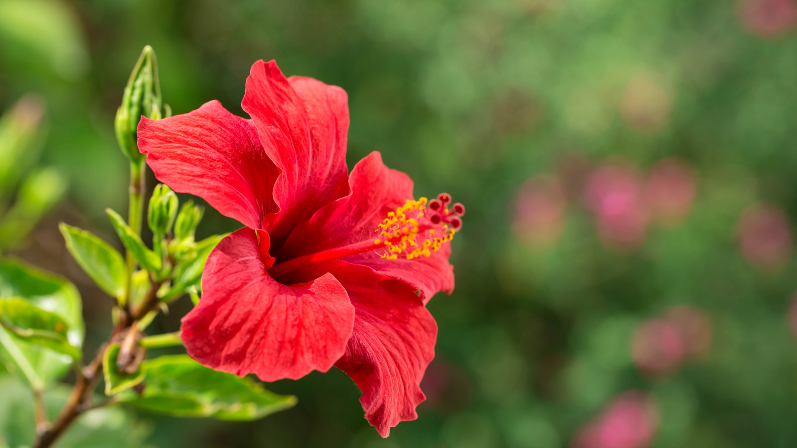 Blog Detail Images