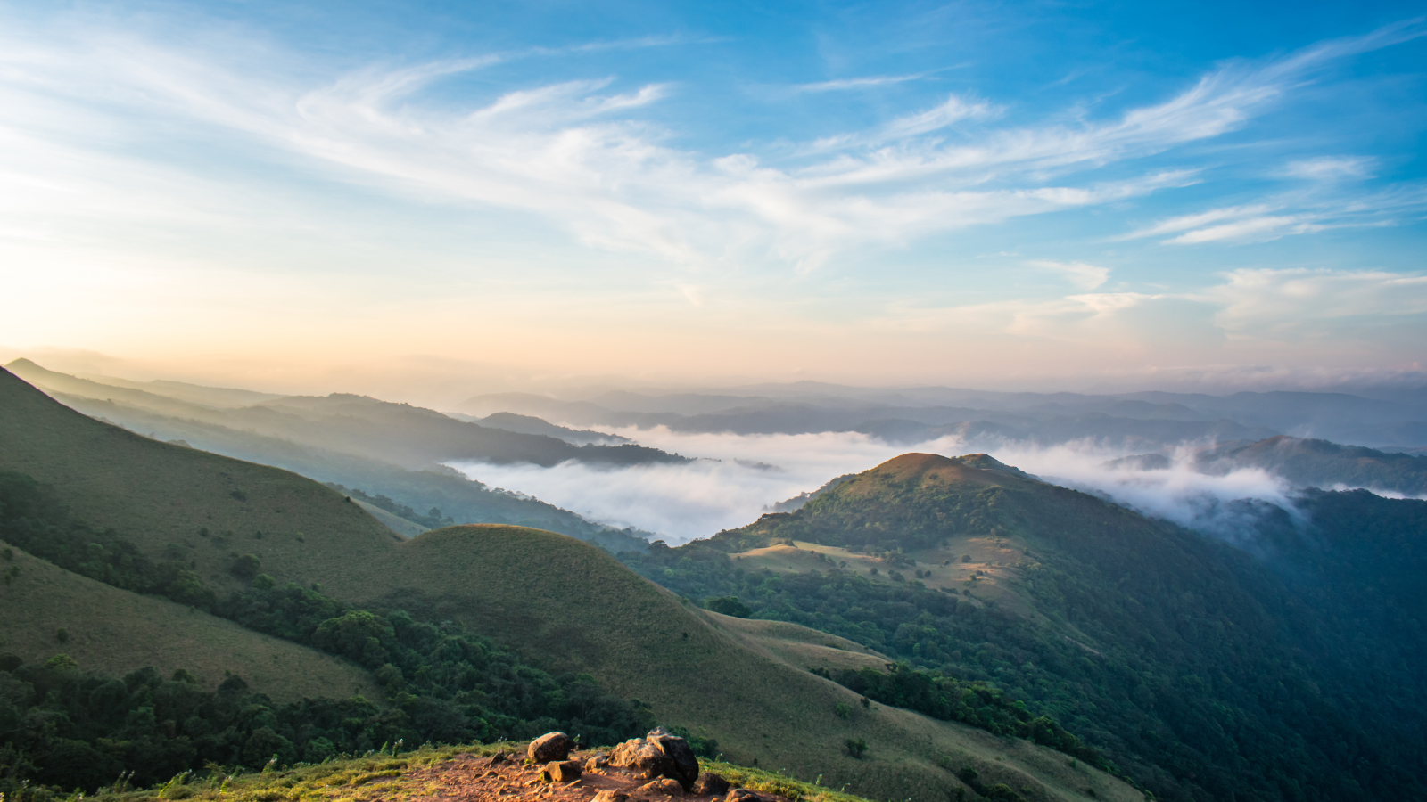 790+ Coorg Stock Photos, Pictures & Royalty-Free Images - iStock | Coorg  coffee, Coorg india