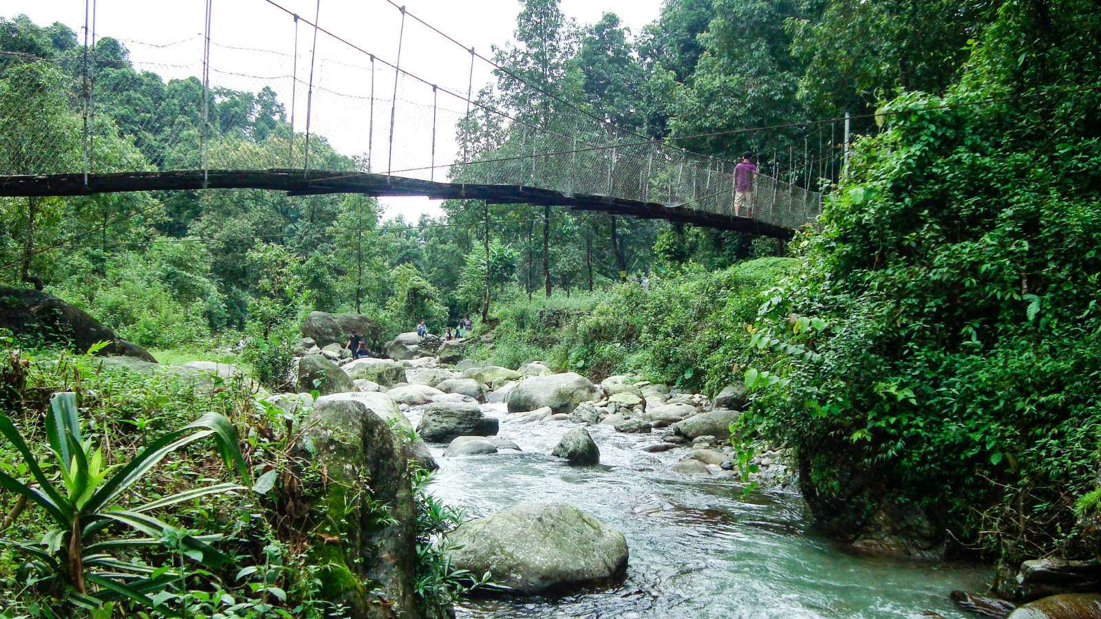 Yumthang Valley