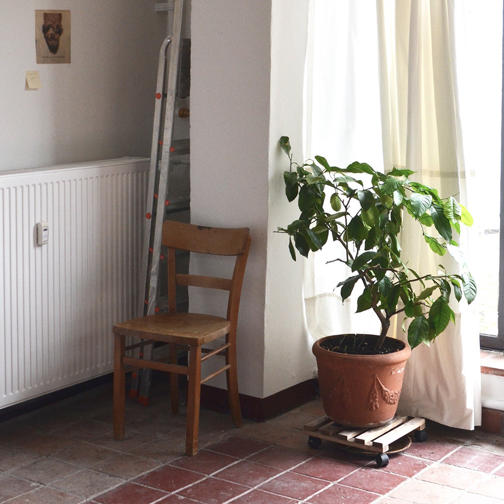 Blog Detail Images