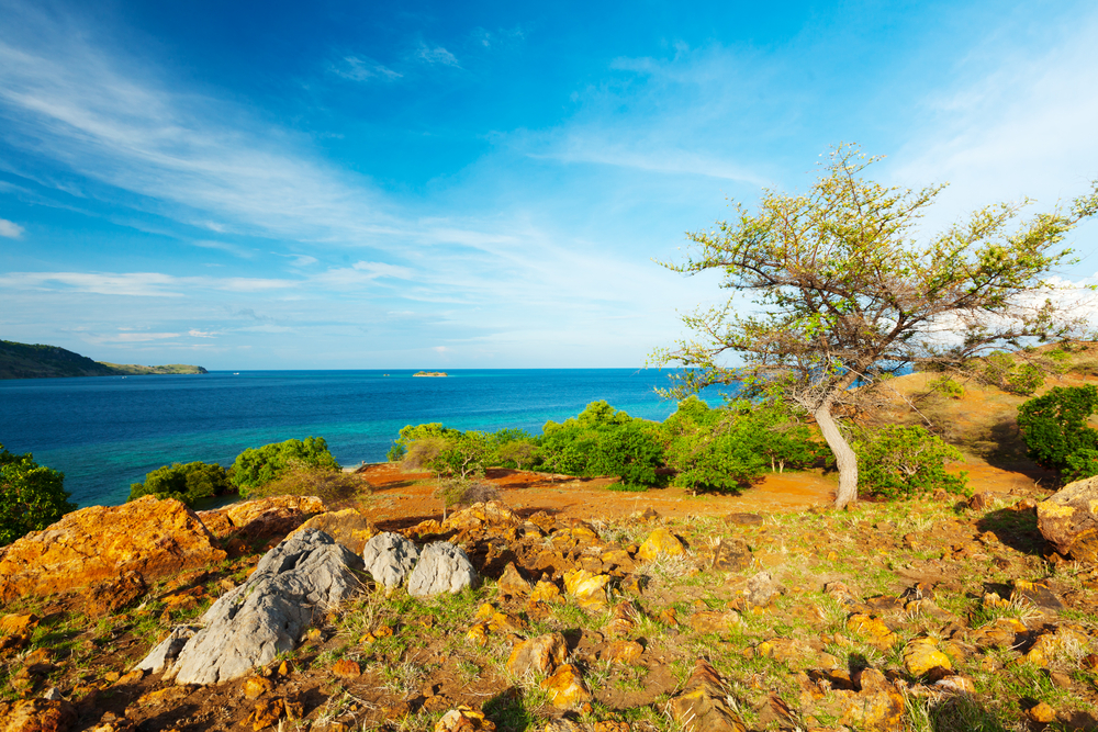 Komodo island 