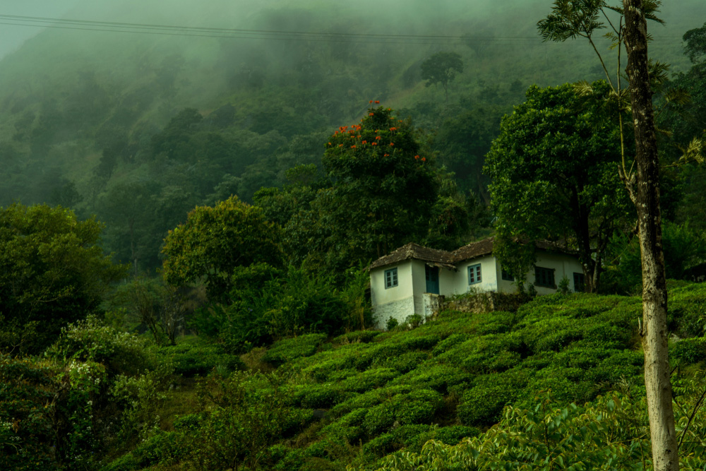 tourist places near vythiri kerala