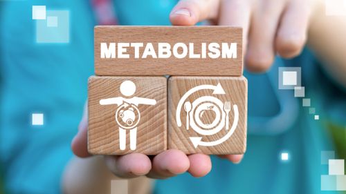 7 Lifestyle Changes To Improve Your Metabolism