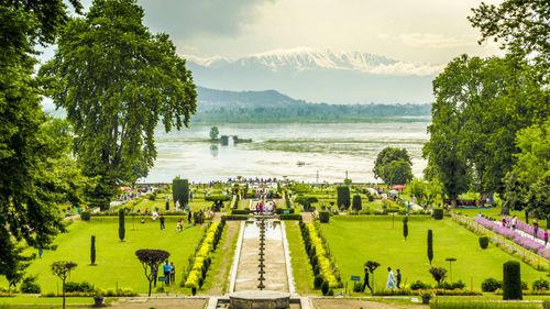 6 Must-Visit Gardens In Srinagar