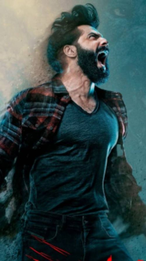 new Bollywood films, Bollywood movies releasing in December 2022, upcoming releases, bhediya, action hero, cirkus